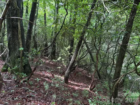 197 Fox Hollow Circle Otto NC 28763