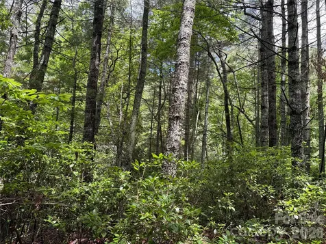 197 Fox Hollow Circle Otto NC 28763