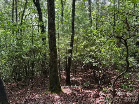 197 Fox Hollow Circle Otto NC 28763