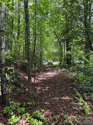 197 Fox Hollow Circle Otto NC 28763