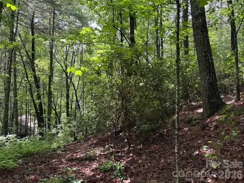 197 Fox Hollow Circle Otto NC 28763