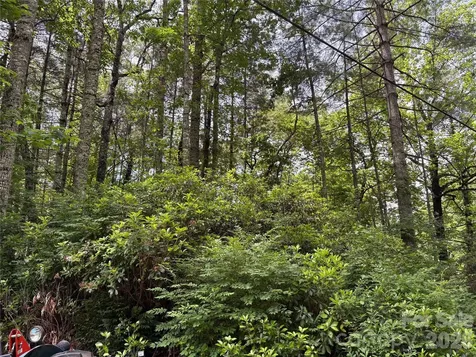 197 Fox Hollow Circle Otto NC 28763