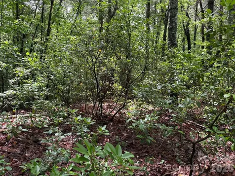 197 Fox Hollow Circle Otto NC 28763