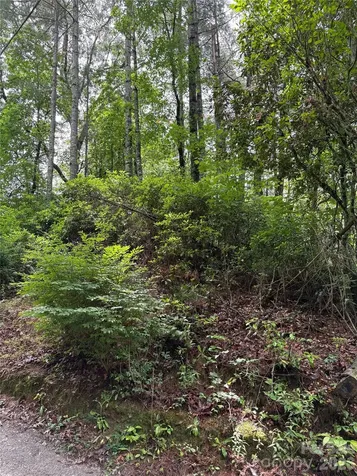 197 Fox Hollow Circle Otto NC 28763