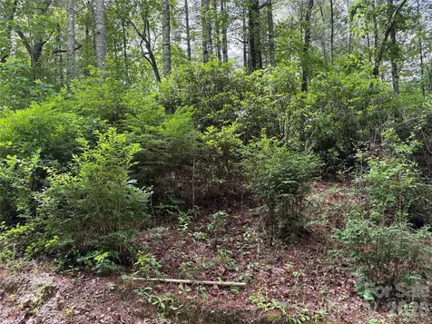 197 Fox Hollow Circle Otto NC 28763