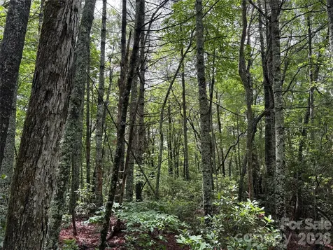 197 Fox Hollow Circle Otto NC 28763