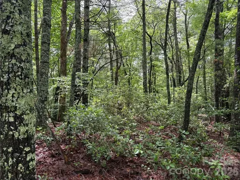 197 Fox Hollow Circle Otto NC 28763