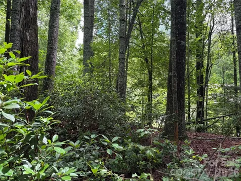 197 Fox Hollow Circle Otto NC 28763