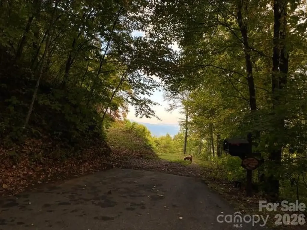 105 Dotsu Trail Maggie Valley NC 28751