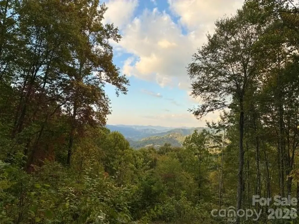 105 Dotsu Trail Maggie Valley NC 28751