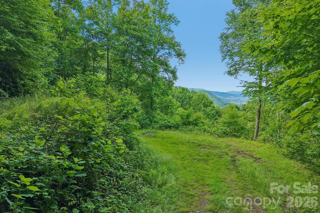 105 Dotsu Trail Maggie Valley NC 28751