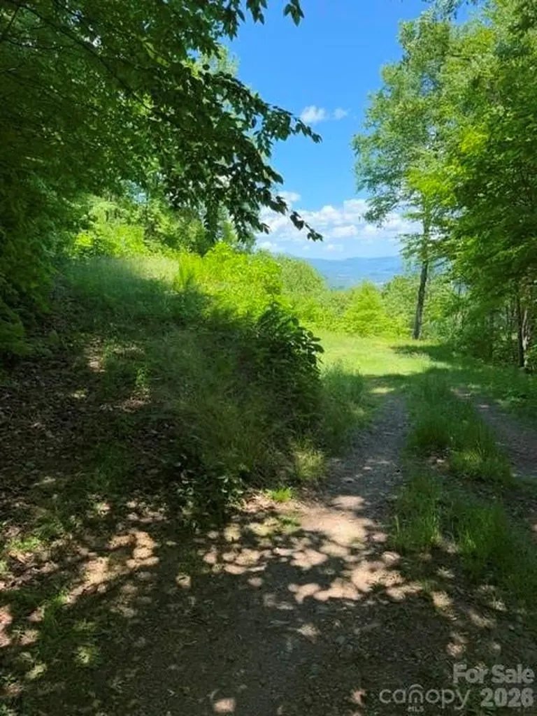 105 Dotsu Trail Maggie Valley NC 28751