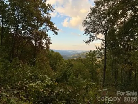 105 Dotsu Trail Maggie Valley NC 28751