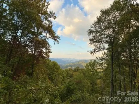 105 Dotsu Trail Maggie Valley NC 28751
