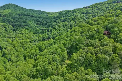 105 Dotsu Trail Maggie Valley NC 28751