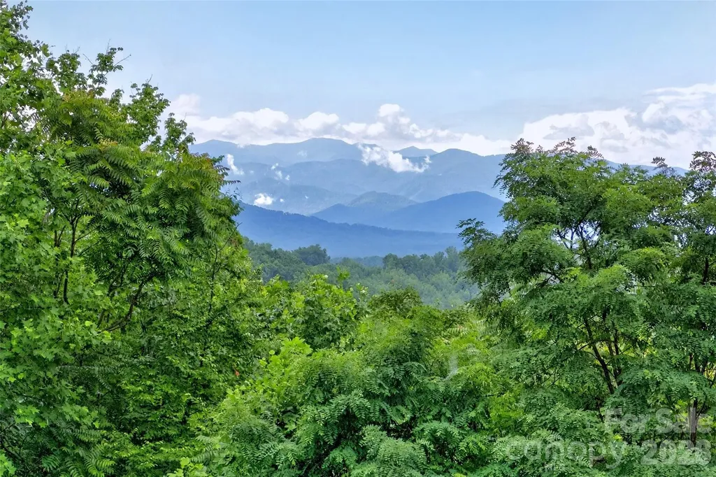 696 Hickory Nut Hollow Old Fort NC 28762