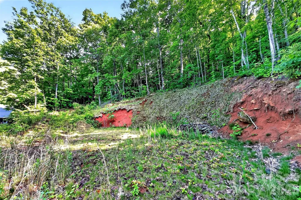 696 Hickory Nut Hollow Old Fort NC 28762