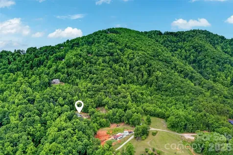 696 Hickory Nut Hollow Old Fort NC 28762