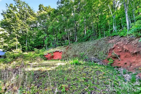 696 Hickory Nut Hollow Old Fort NC 28762