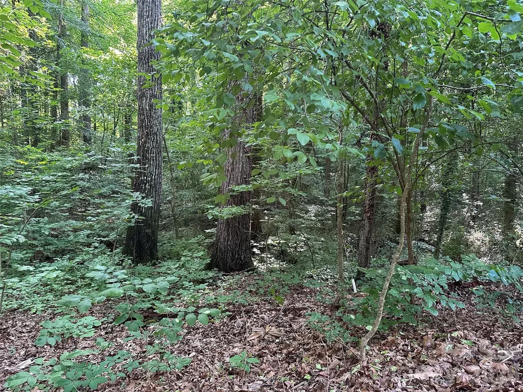 0 Briarcliff Road Rockwell NC 28138