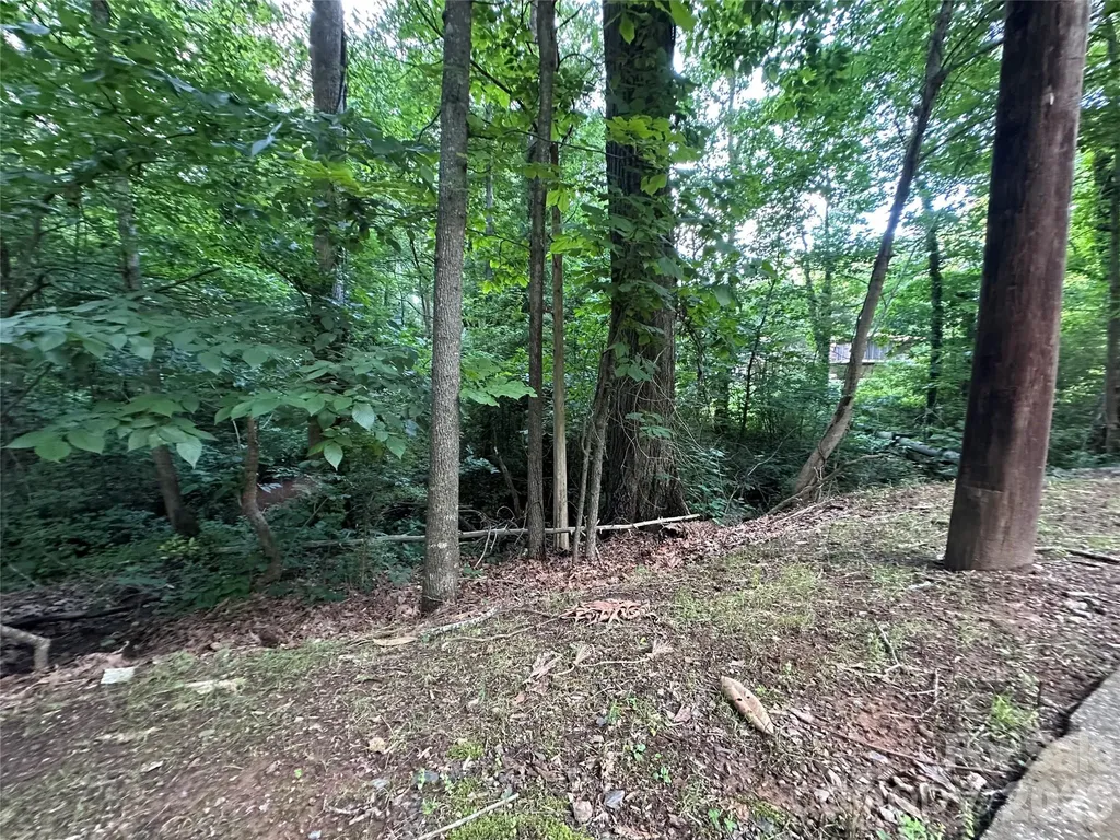 0 Briarcliff Road Rockwell NC 28138