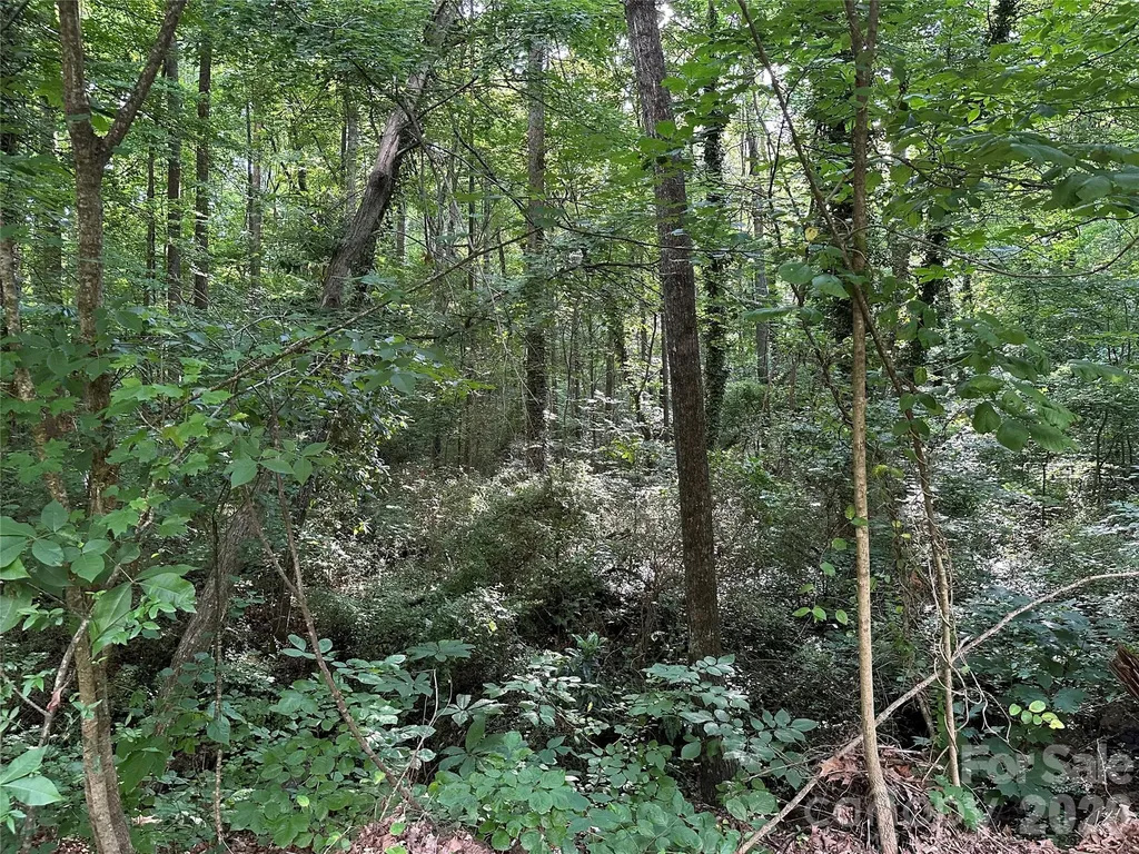 0 Briarcliff Road Rockwell NC 28138