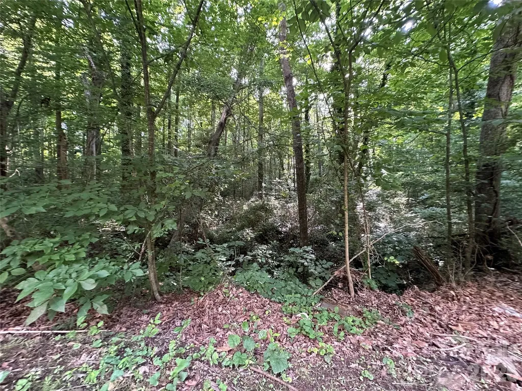 0 Briarcliff Road Rockwell NC 28138