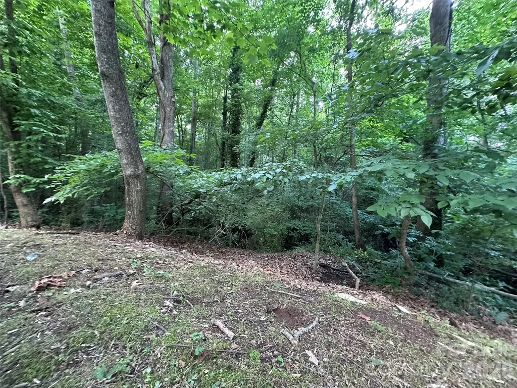 0 Briarcliff Road Rockwell NC 28138