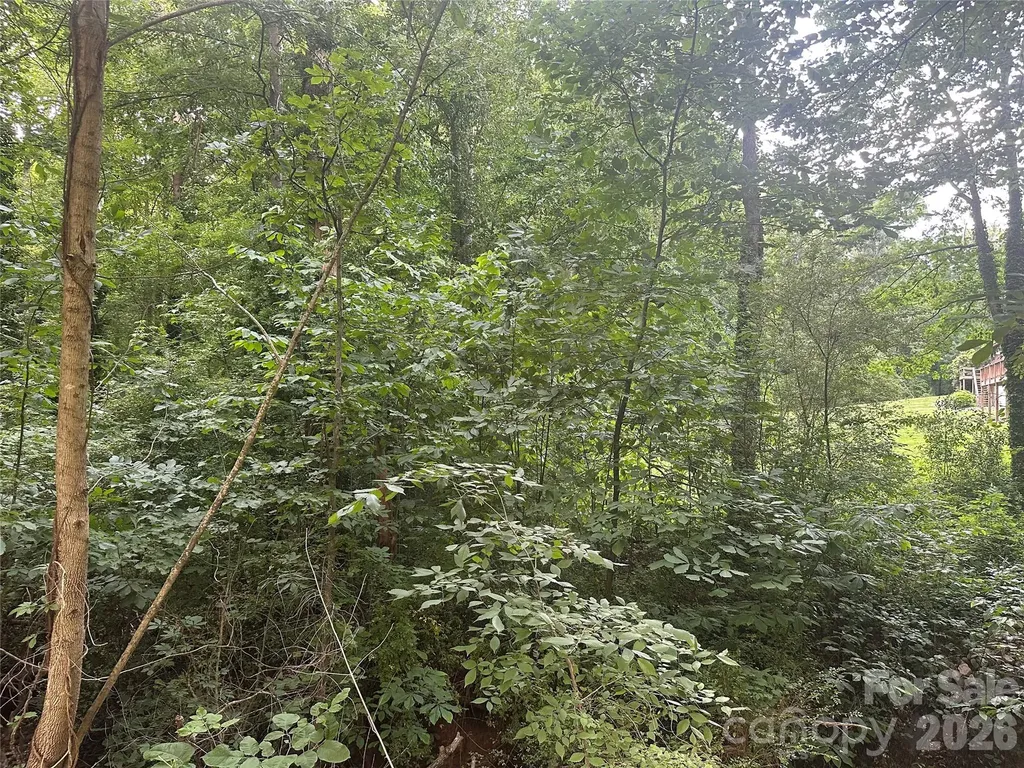 0 Briarcliff Road Rockwell NC 28138