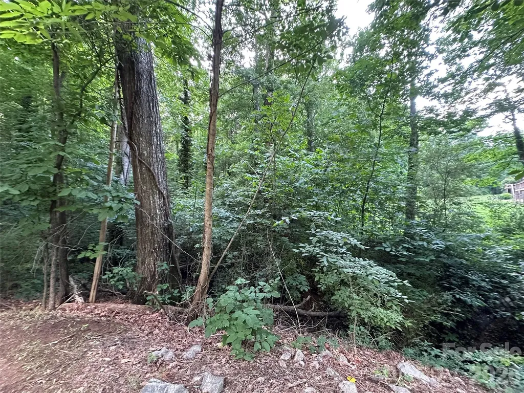 0 Briarcliff Road Rockwell NC 28138