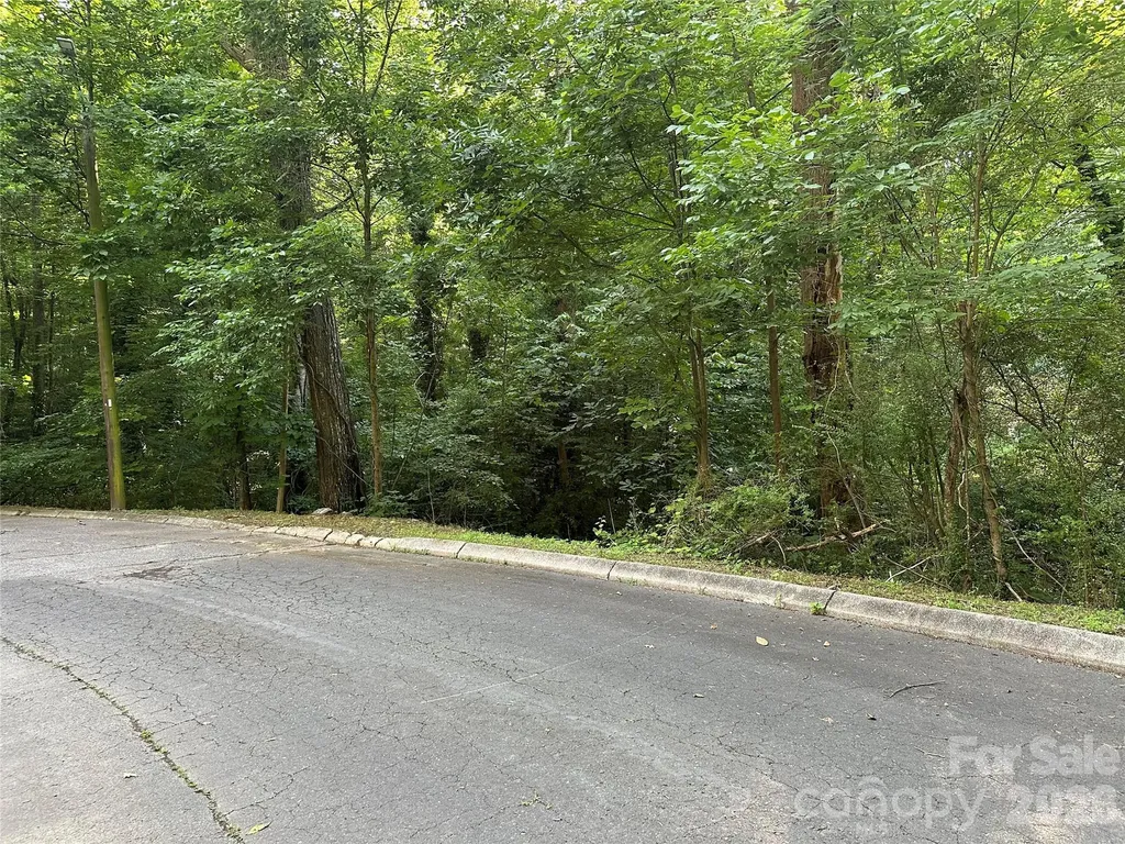 0 Briarcliff Road Rockwell NC 28138