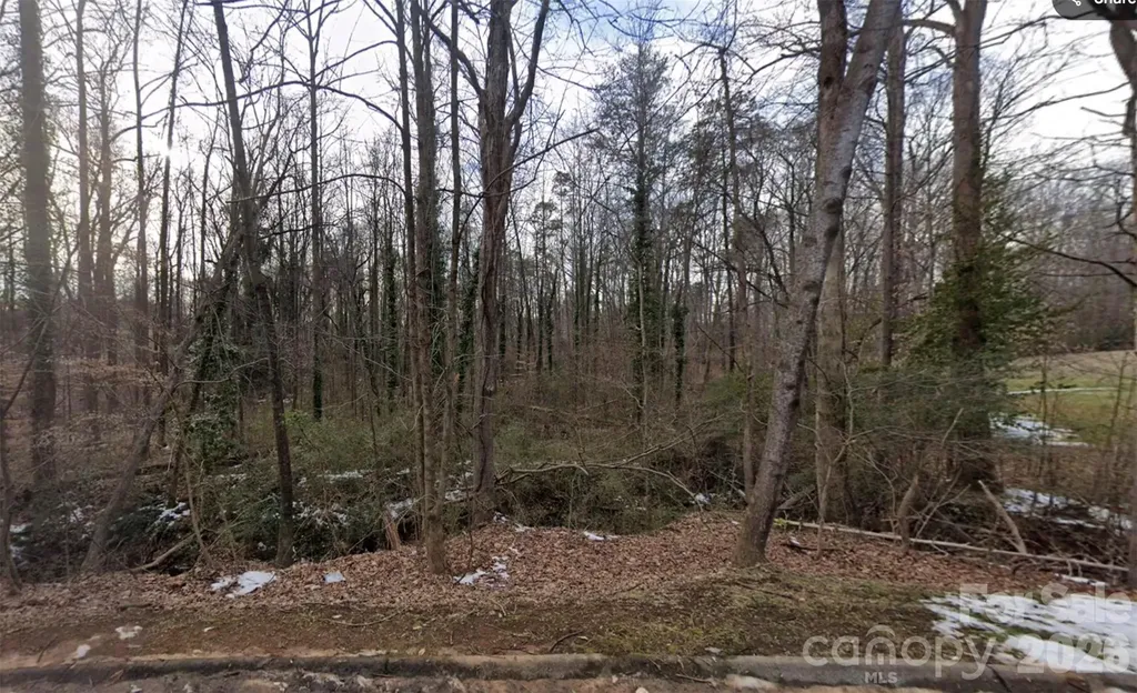 0 Briarcliff Road Rockwell NC 28138