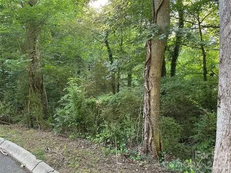 0 Briarcliff Road Rockwell NC 28138