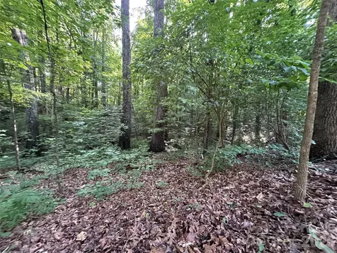 0 Briarcliff Road Rockwell NC 28138