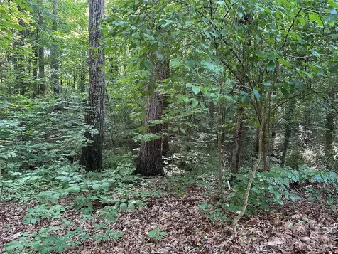 0 Briarcliff Road Rockwell NC 28138