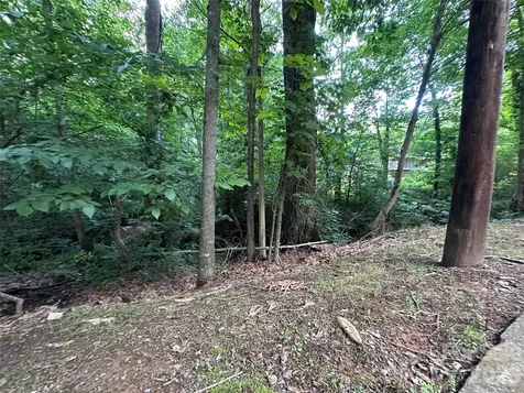 0 Briarcliff Road Rockwell NC 28138