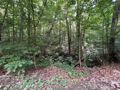 0 Briarcliff Road Rockwell NC 28138