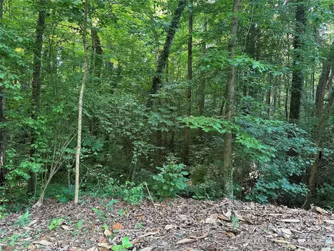 0 Briarcliff Road Rockwell NC 28138