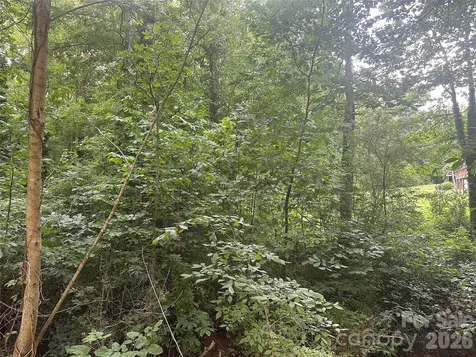 0 Briarcliff Road Rockwell NC 28138