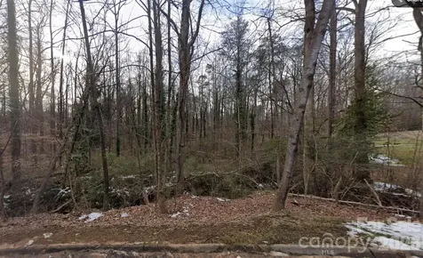 0 Briarcliff Road Rockwell NC 28138