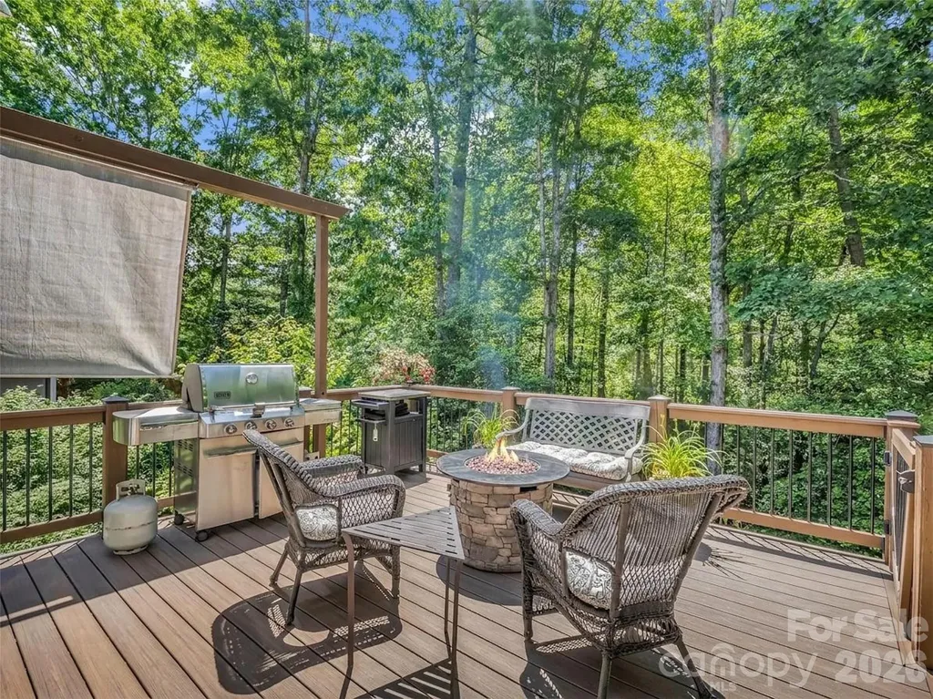 1042 Columbine Road Asheville NC 28803