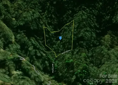 111 Birch Tree Cove Franklin NC 28734