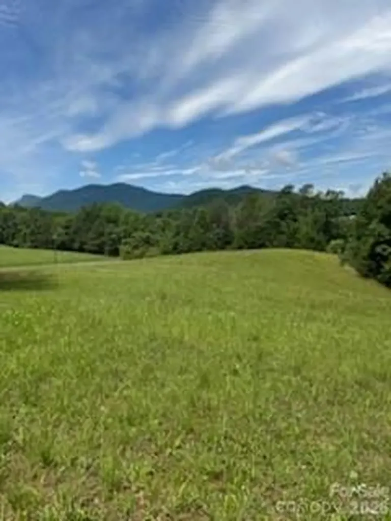 0 Smith Waldrop Road Mill Spring NC 28756