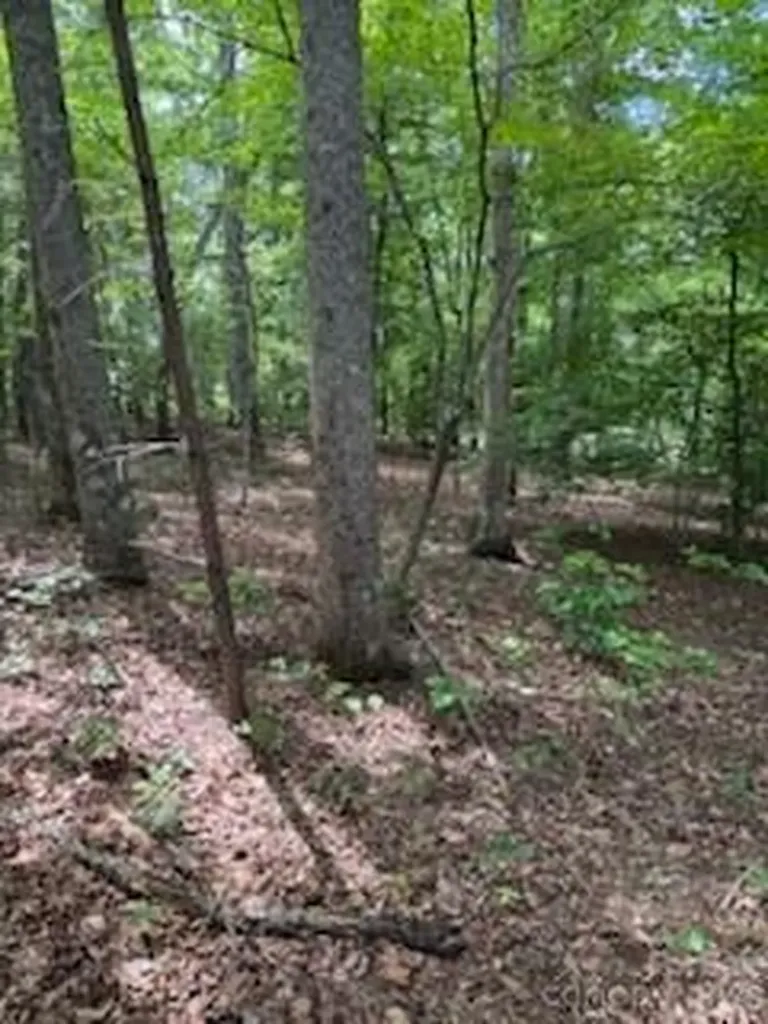 0 Smith Waldrop Road Mill Spring NC 28756