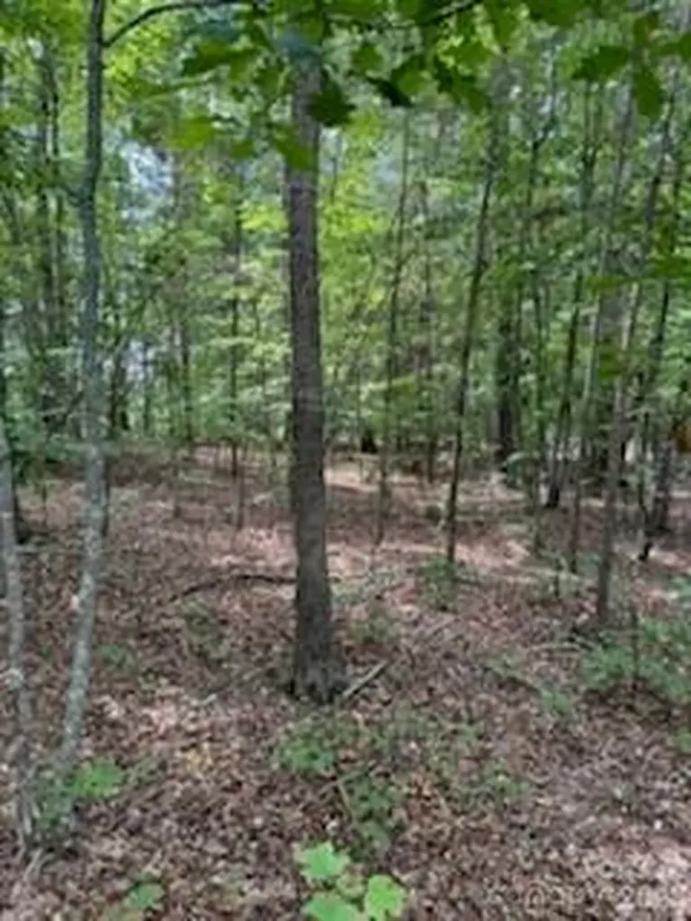 0 Smith Waldrop Road Mill Spring NC 28756