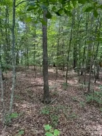 0 Smith Waldrop Road Mill Spring NC 28756