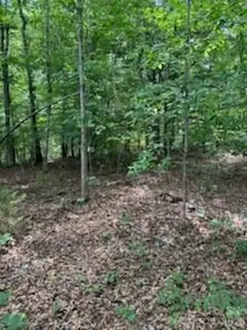 0 Smith Waldrop Road Mill Spring NC 28756