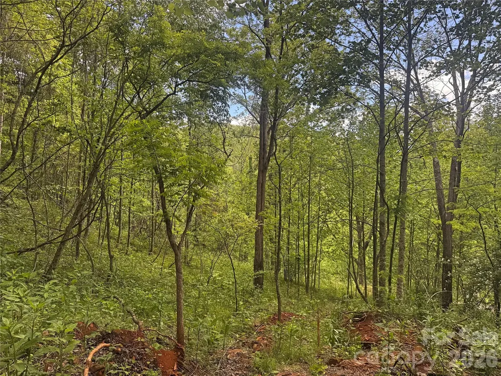 V/l Wolf Crossing Bakersville NC 28705