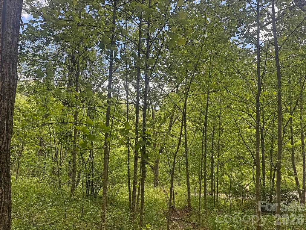 V/l Wolf Crossing Bakersville NC 28705