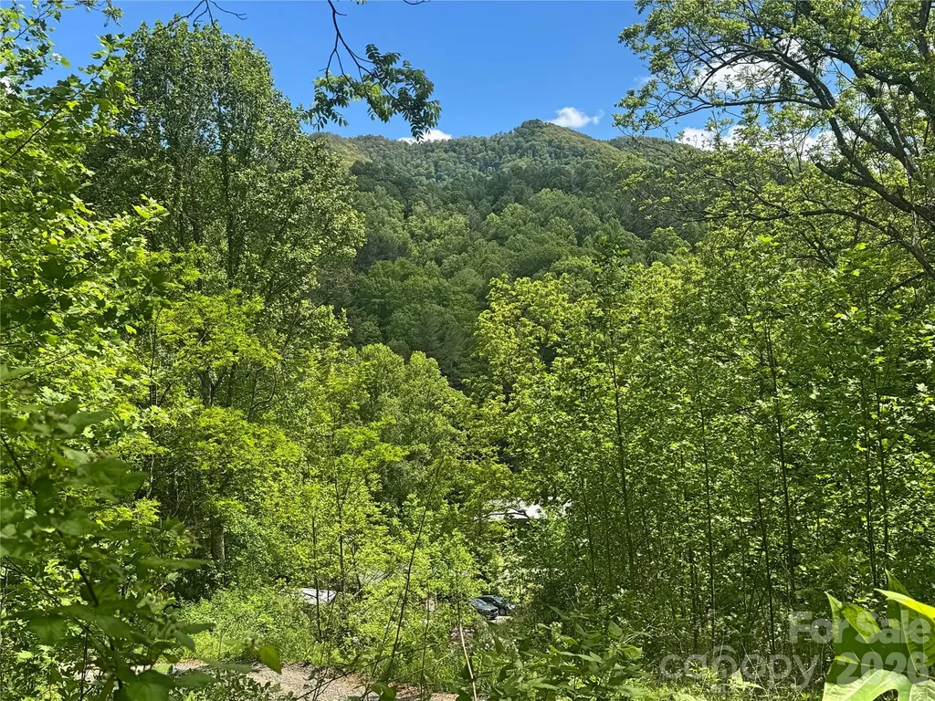 V/l Wolf Crossing Bakersville NC 28705